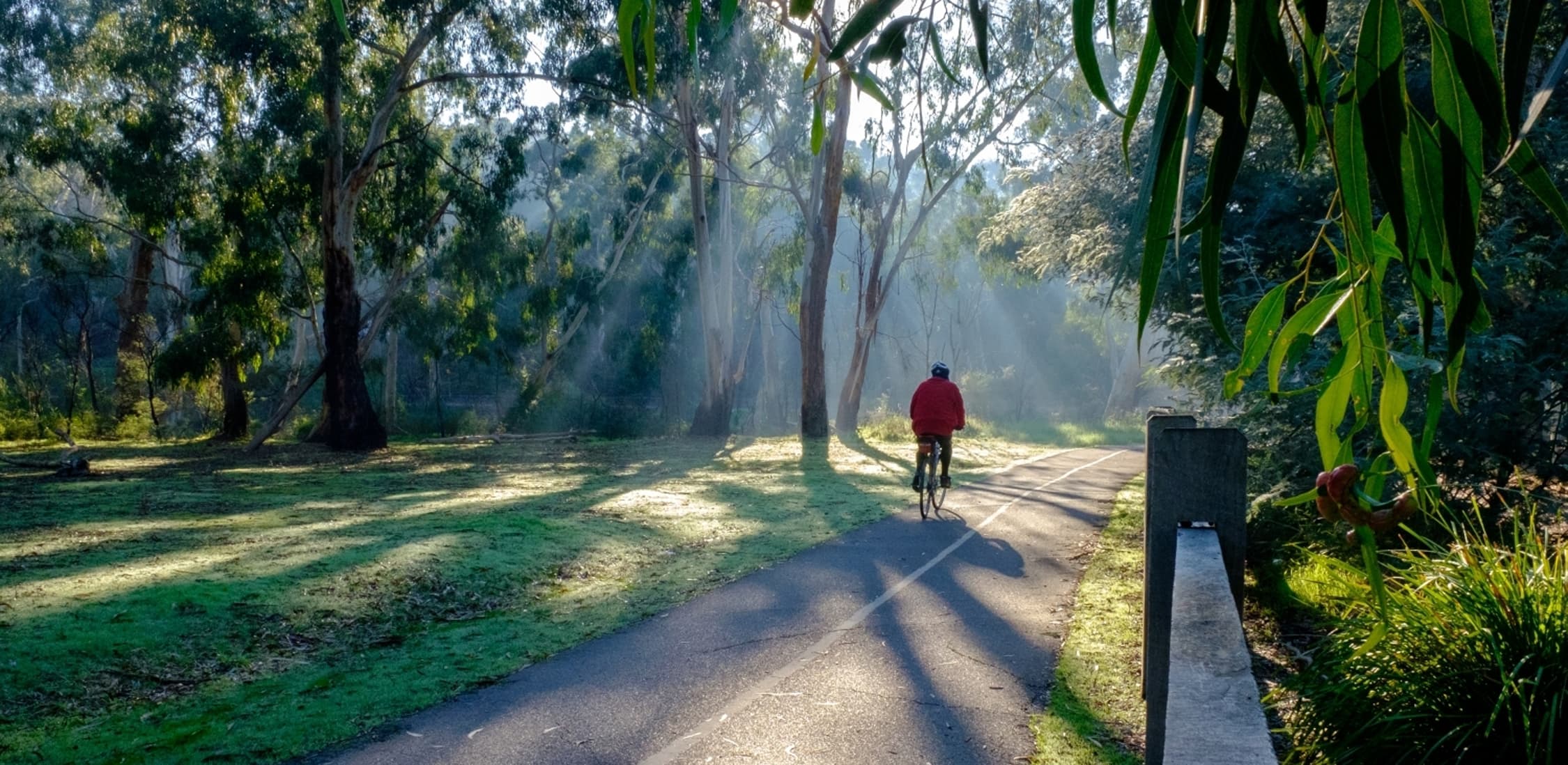 Diamond Creek Trail